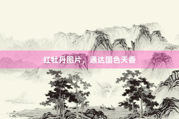 红牡丹图片，通达国色天香
