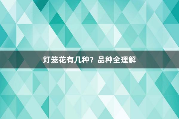灯笼花有几种？品种全理解