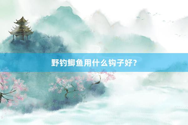 野钓鲫鱼用什么钩子好？